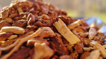 Health-Benefits-and-Uses-of-Sarsaparilla-Root