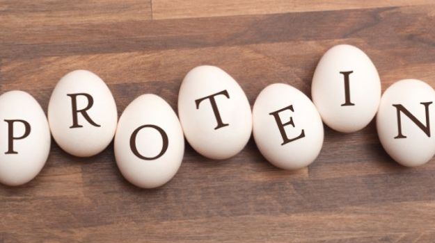 prawn health benefits